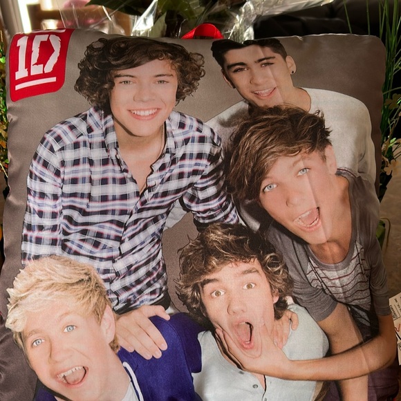 Commonwealth Accessories - One Direction Picture Perfect Decorative Pillow